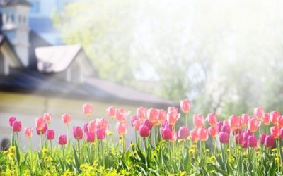 The Housing Market Will “Spring Forward” This Year!