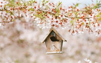 Data Says April is the Best Month to List Your Home for Sale