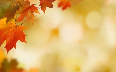 4 Reasons to Sell This Fall [INFOGRAPHIC]